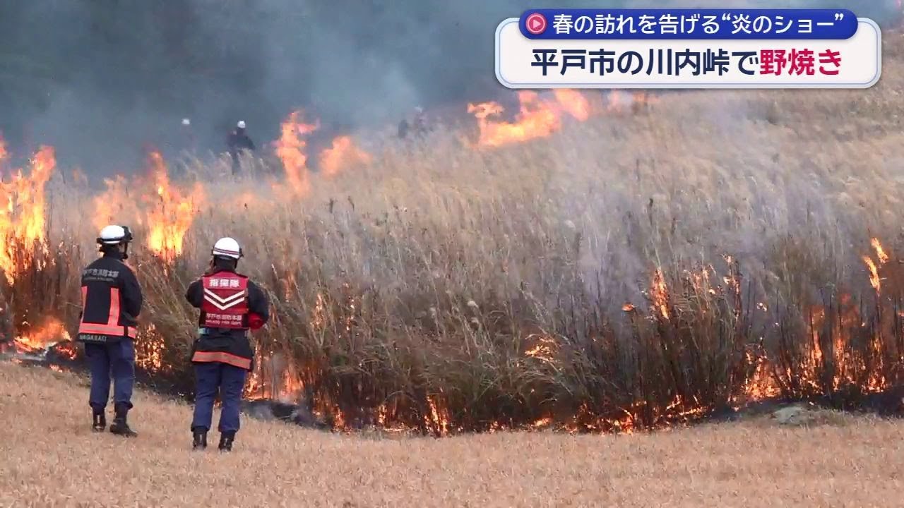 平戸・川内峠で春の訪れ告げる「野焼き」　消防関係者など約１５０人　林野火災に例年以上の注意払う