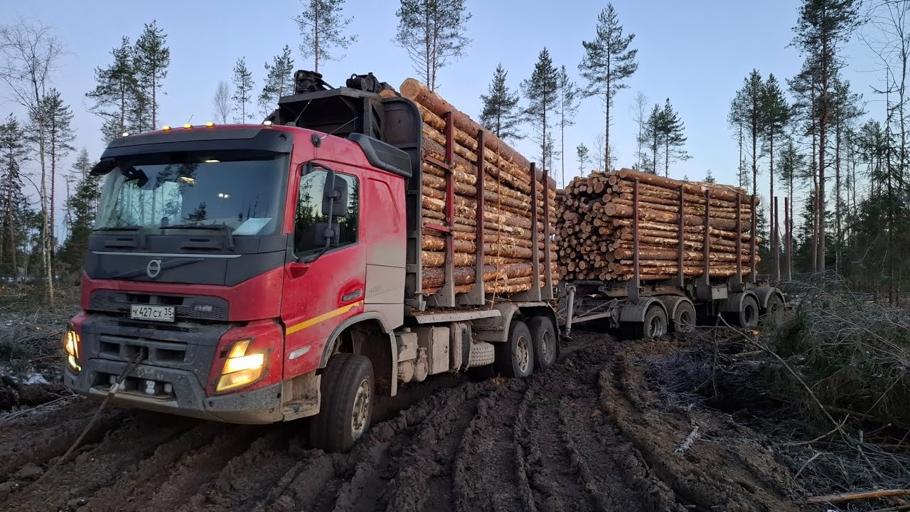 Рабочие будни в лесу 18 марта 2026.