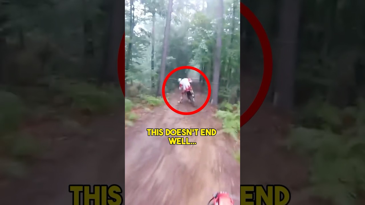 Езда на велосипеде по лесу &mdash; это НЕ ТАК&hellip;