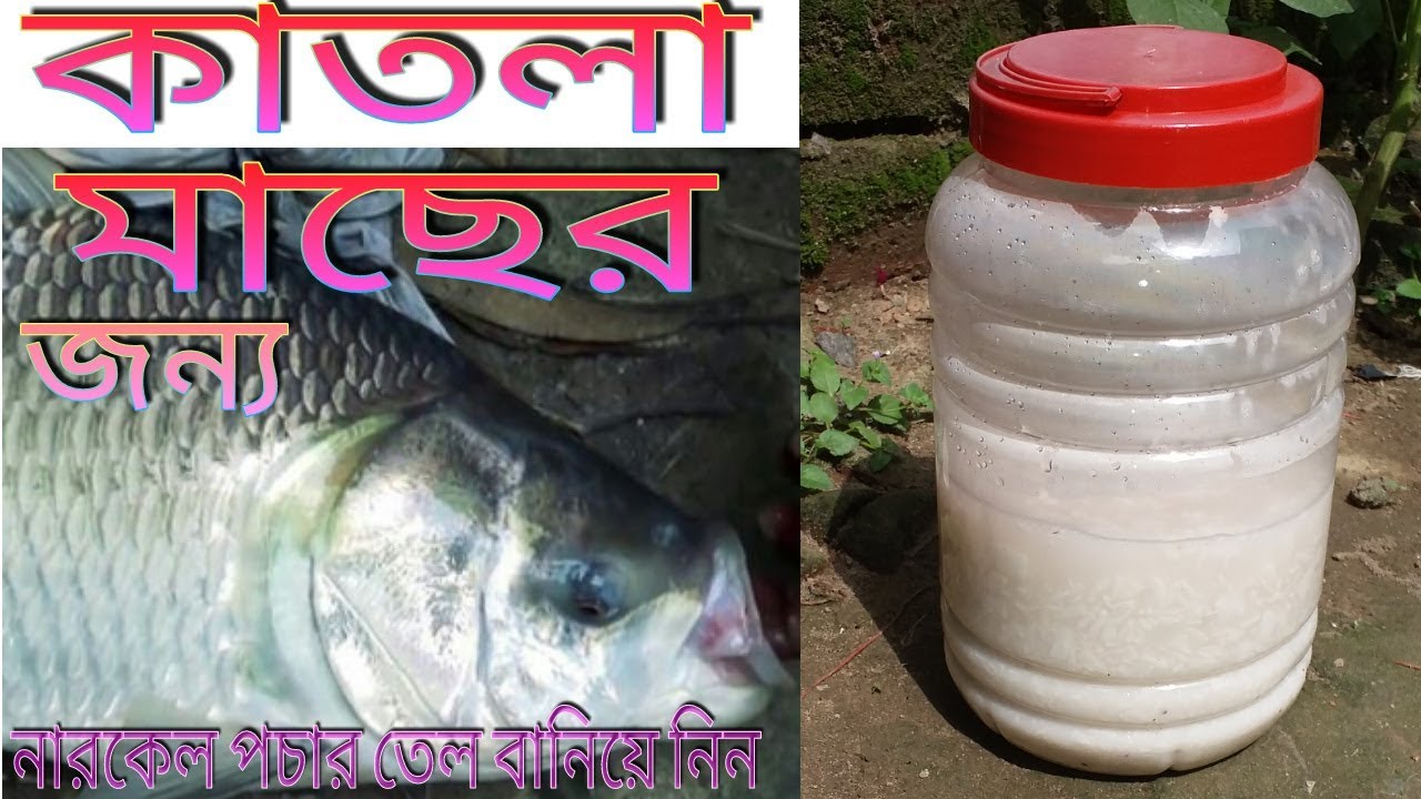 How to make narkel pocha(fresh)? How to make katla fish bait?#