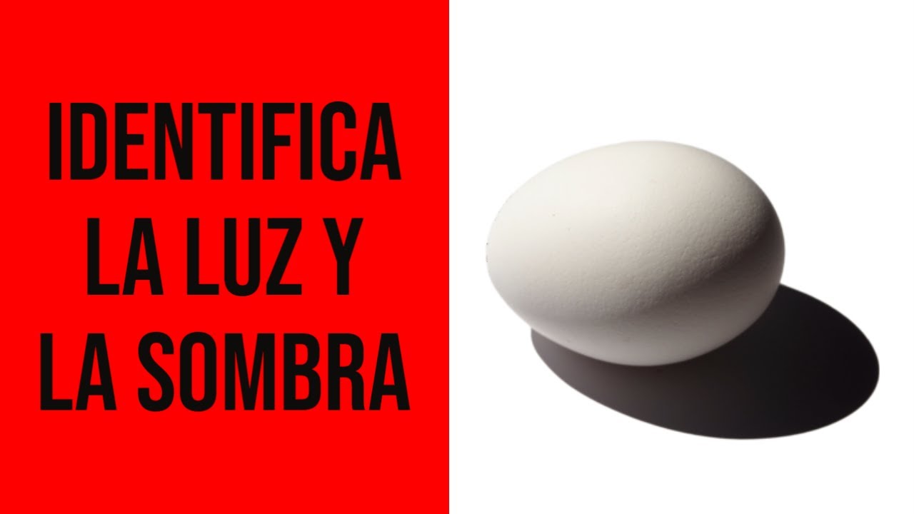 ✍️✍️ ¿CÓMO IDENTIFICAR la luz y la SOMBRA en tus dibujos? ✏️✏️