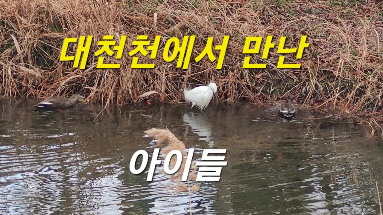 대천천에서 만난 아이들 