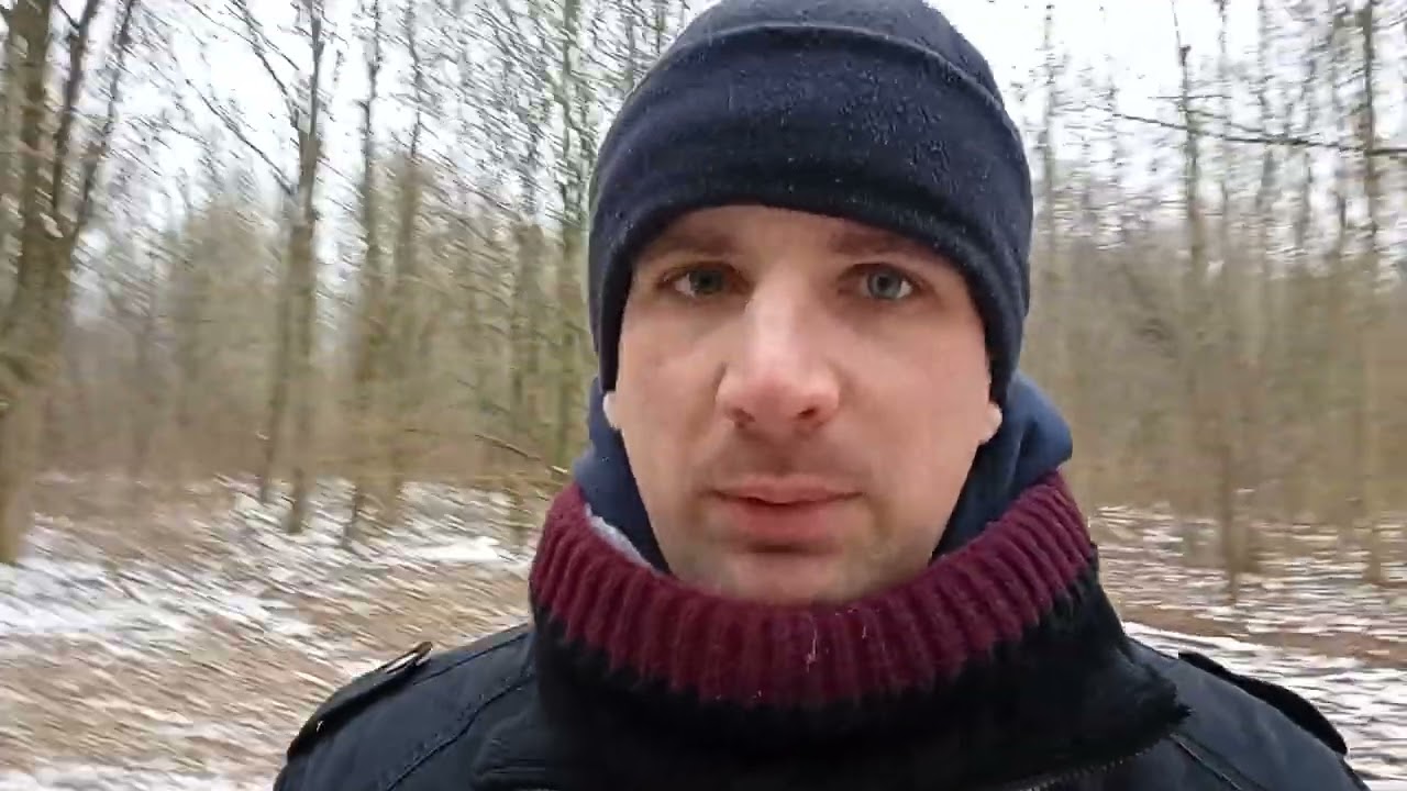 Где я живу и кто ко мне подселился: роща и моя жизнь