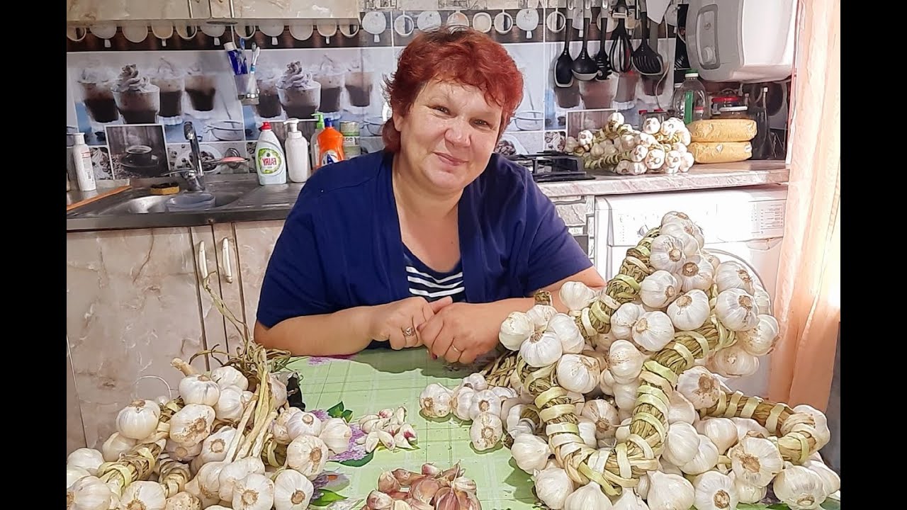 #ЯРОВОЙ #ЧЕСНОК🧄🧄🧄 ВЫРОС НА #СЛАВУ!!! #ПЛЕТЁМ И #ГОТОВИМ НА #ХРАНЕНИЕ👌👌
