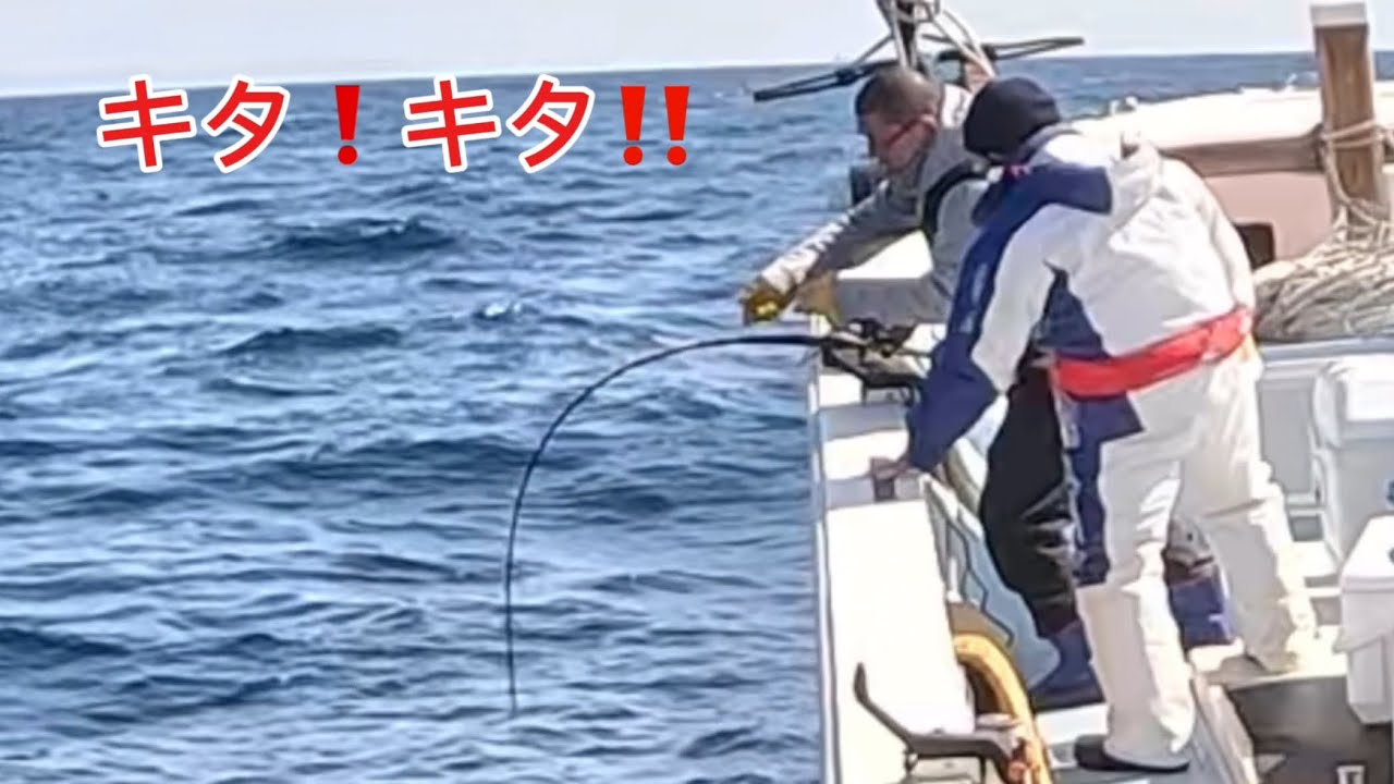 今回も高級魚クエ（アラ）が釣れるか⁉️