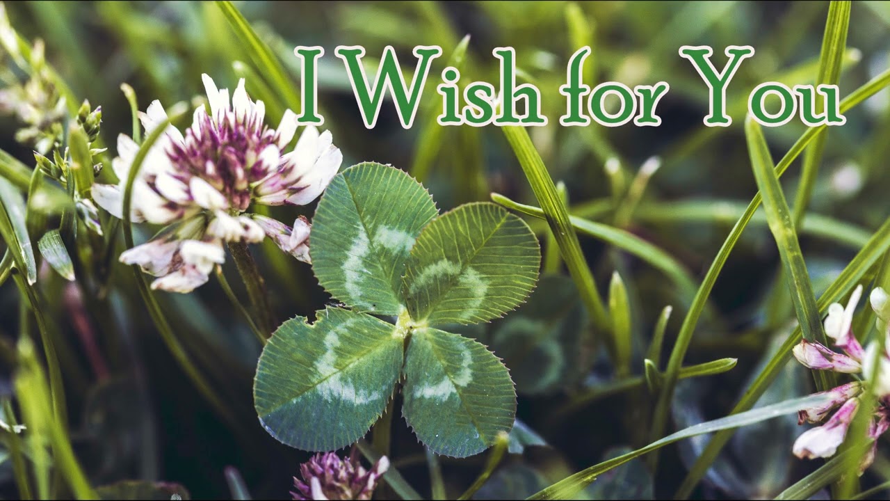 I Wish for You