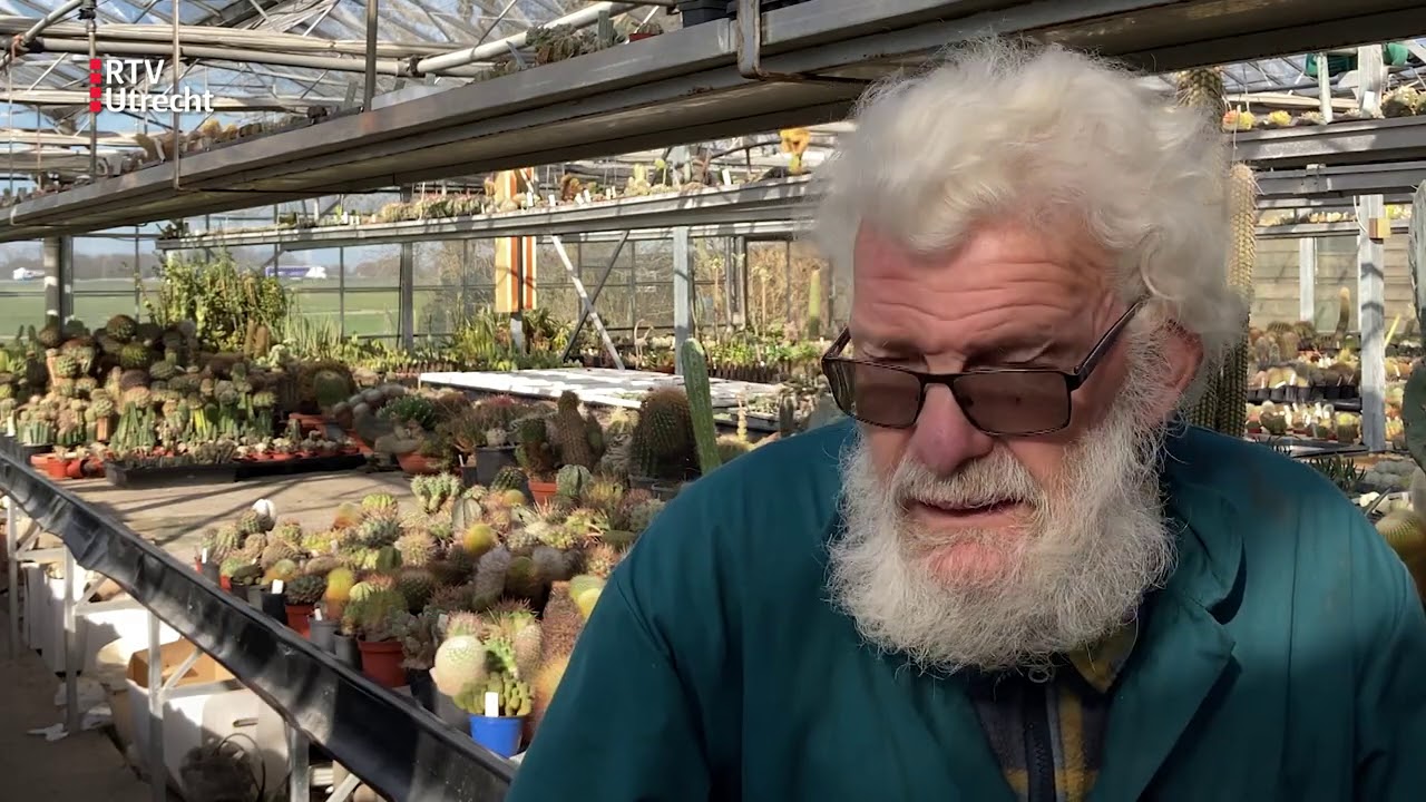 Hans heeft 100.000 cactussen: ‘Dit is een superleuke coronahobby’ [RTV Utrecht]