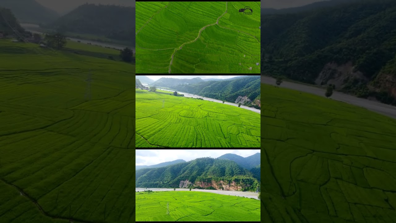 Talkot ,, Beautiful Doti