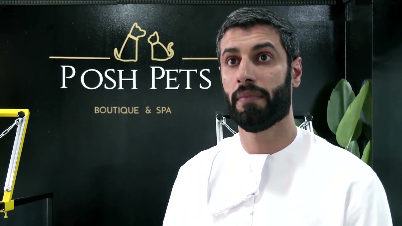 Pups enjoy the UAE's first indoor dog gym
