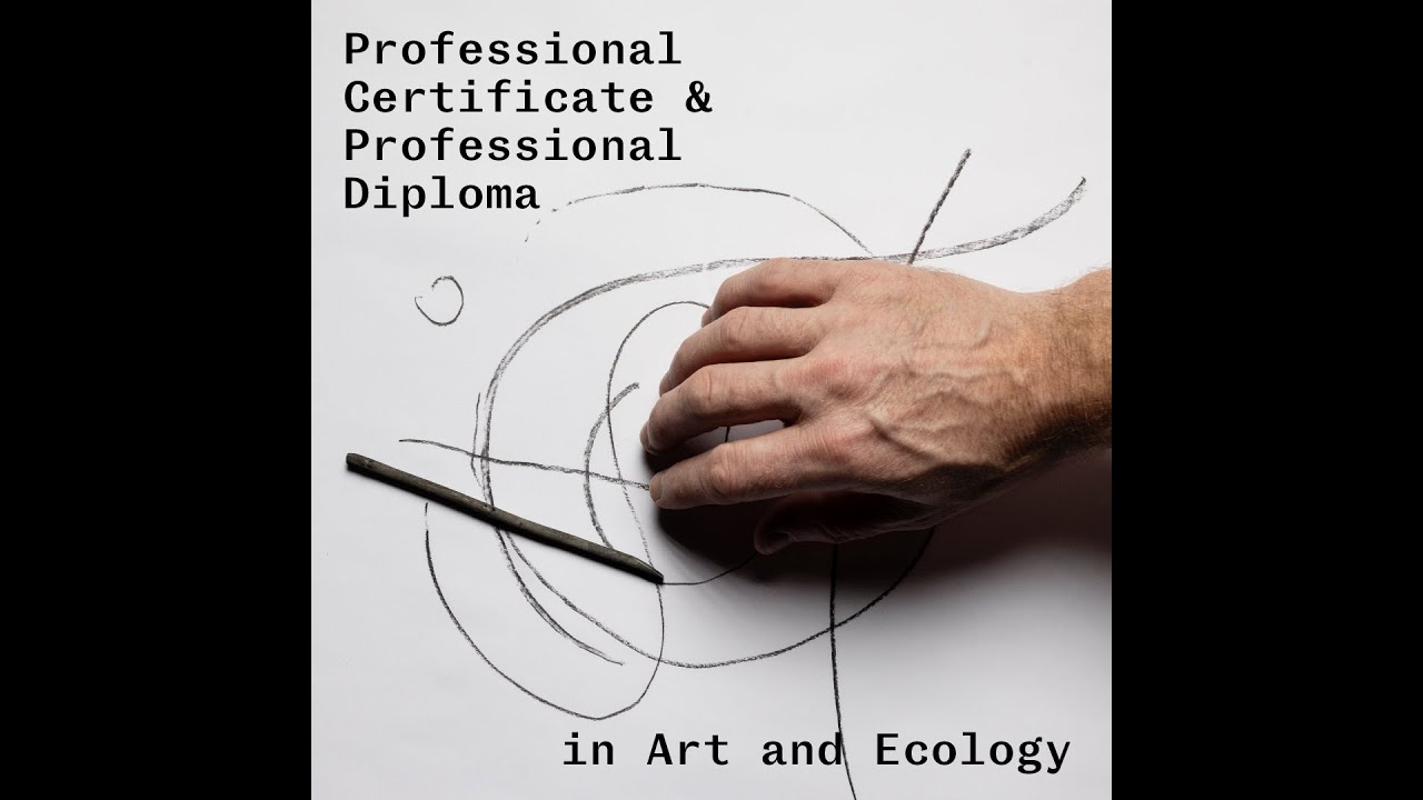 Professional Certificate and Diploma in Art and Ecology Webinar