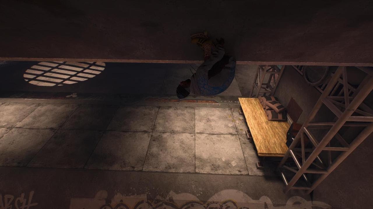skate._ 1.5 backflip roof ride? replay