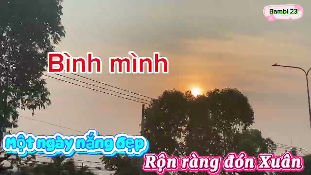 ( 226 ) Bambi 23. Một ngày nắng đẹp. Rộn ràng đón Tết 