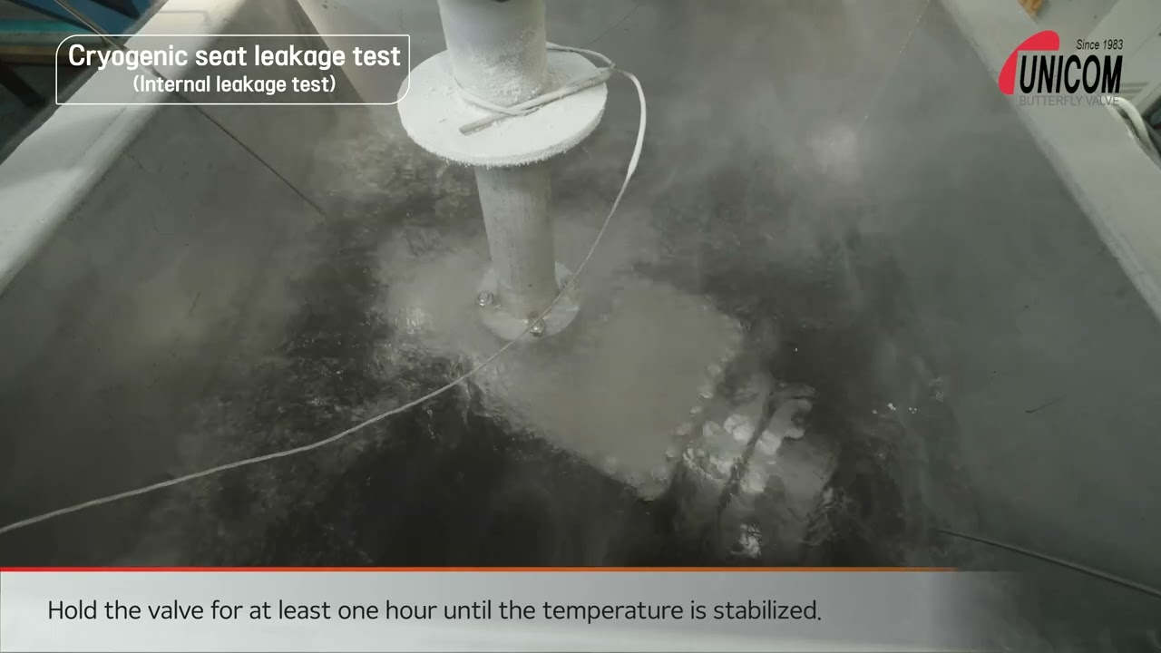 Korea Unicom Valve Cryogenic Butterfly Valve Test
