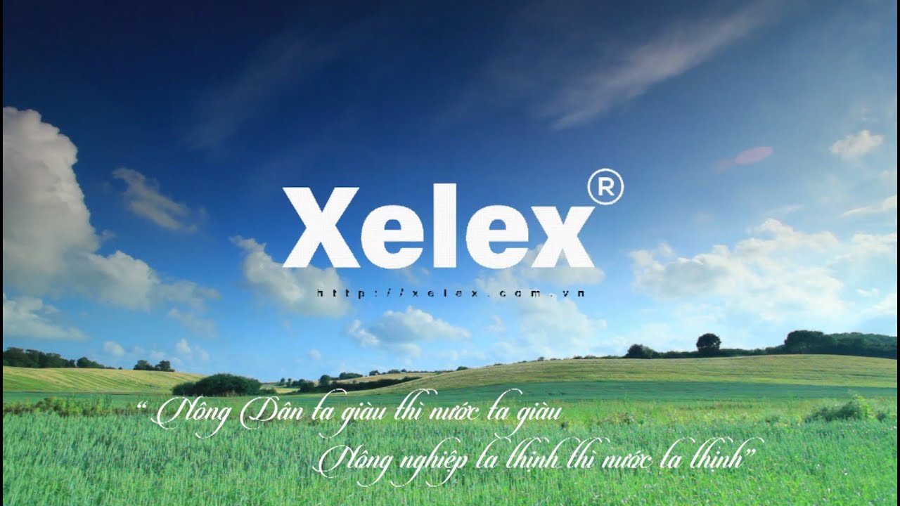 Giới thiệu máy tính bảng Xelex