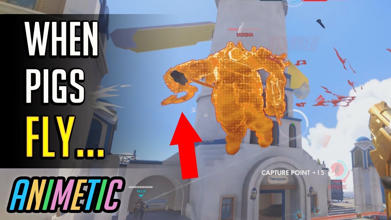 When pigs fly... - Season 31 - Overwatch