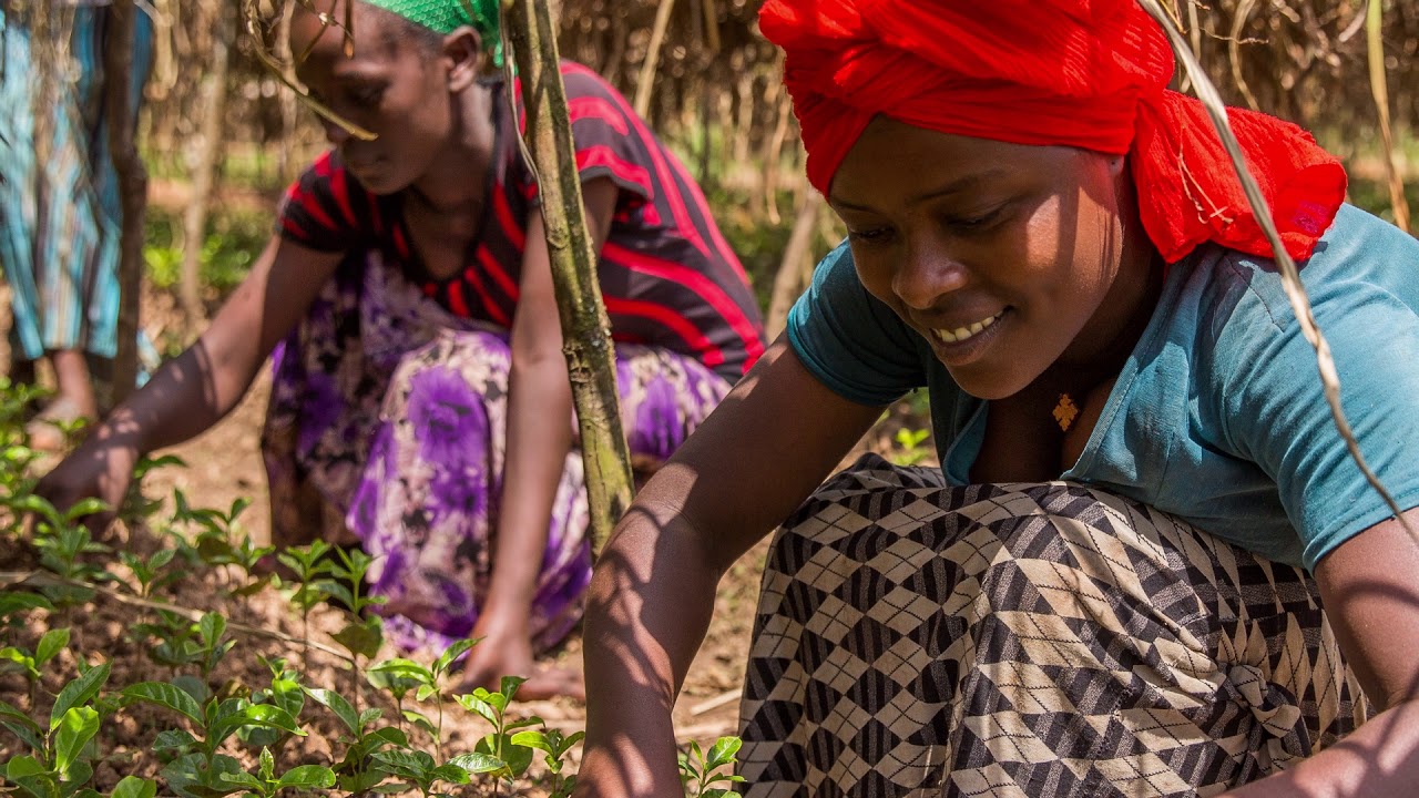 En Fairtrade, Somos Comercio Justo