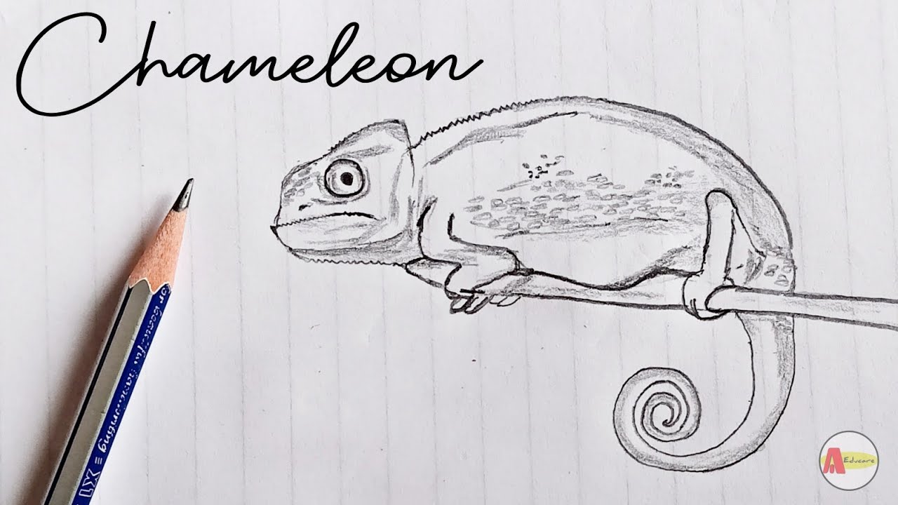 How to Draw a Chameleon step by step [Tutorial]