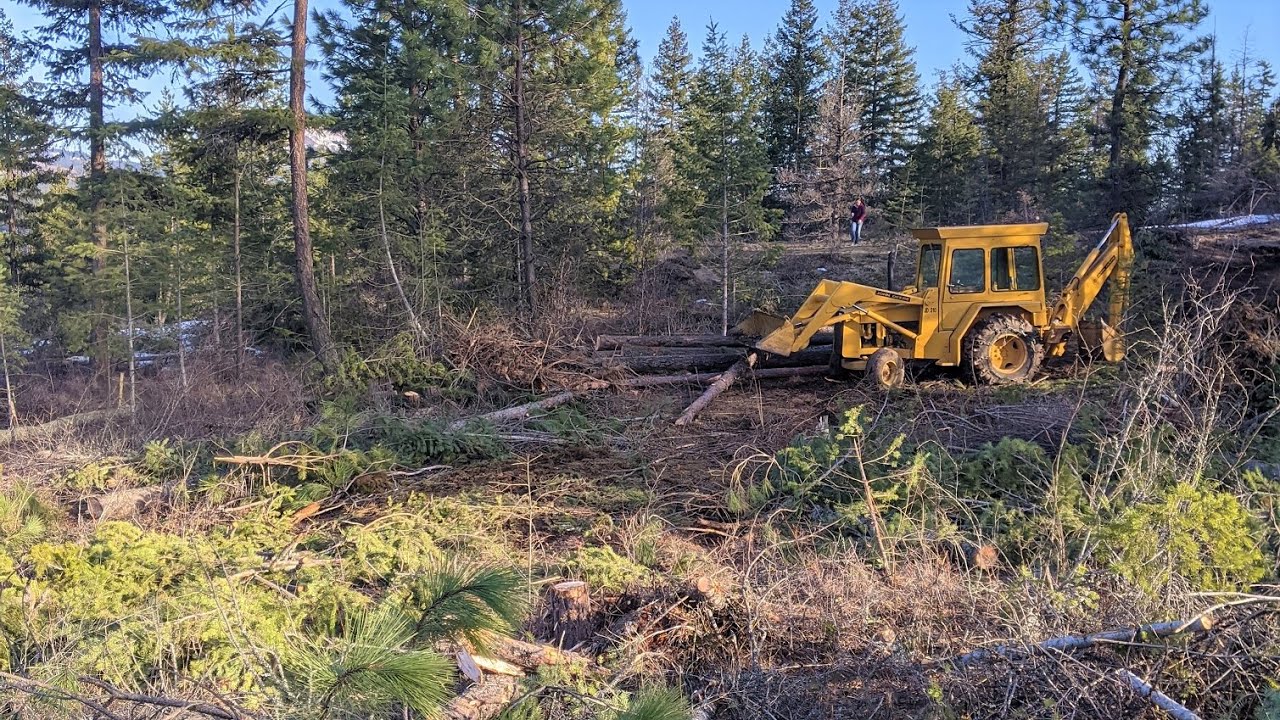 Permit is Approved!!! Clearing Our Homesite - The Homestead Adventure(r) - Ep11