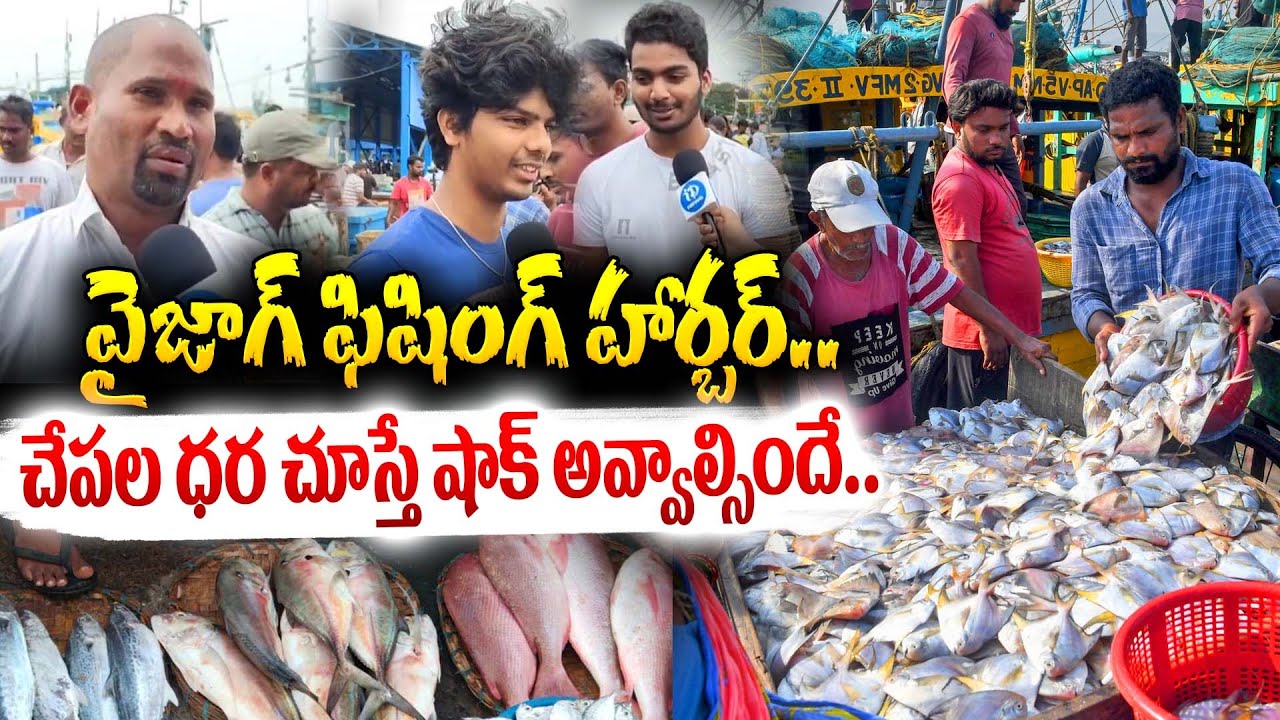 Vizag Fishing Harbour Tour | Fishing Harbour of Vizag City | Largest Fishing Harbour In India
