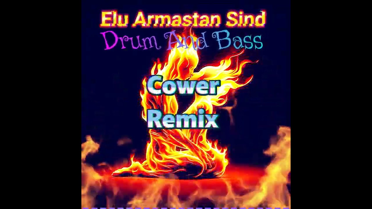 Elu Armastan Sind Cower Remis,Drum And Bass 2025