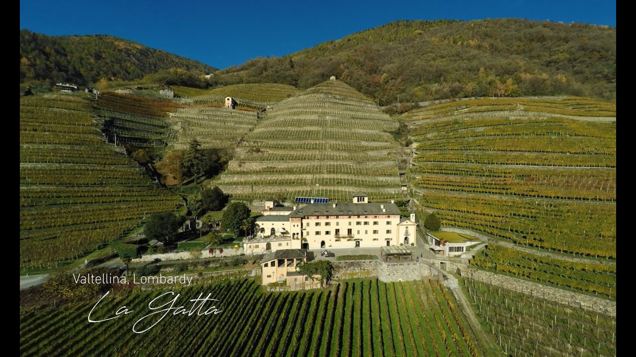 Triacca winery - Valtellina and Tuscany