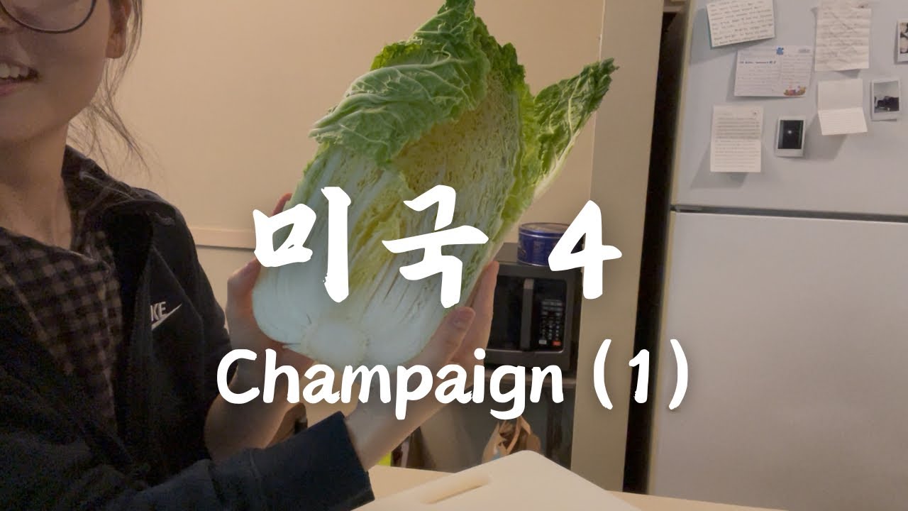 미국 여행 4 | Champaign (1)