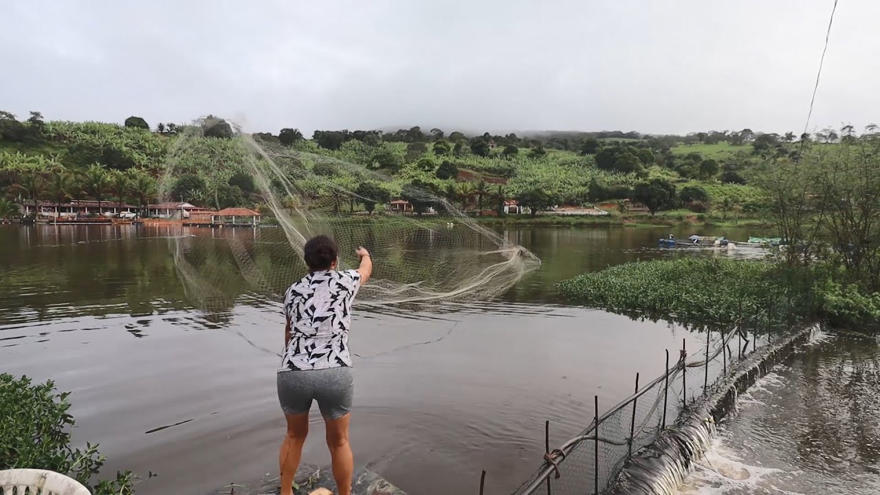 PESCANDO DE TARRAFA ( A MINHA GATA ME MORDEU)