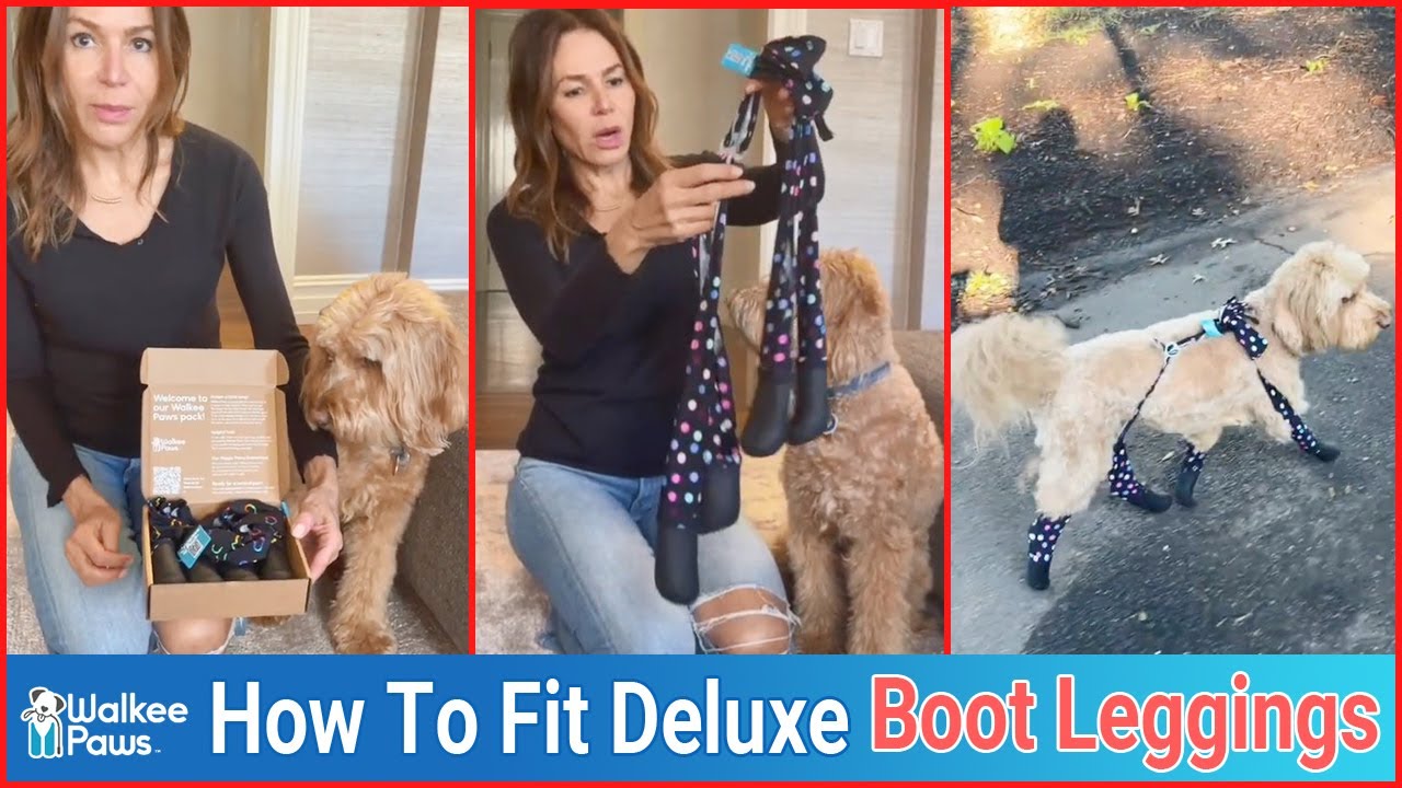 Walkee Paws New Deluxe Boot Leggings 