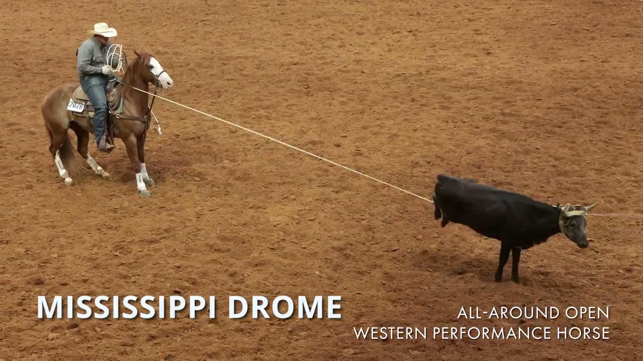 2023 APHA World Show All-Around Open Western Performance Horse