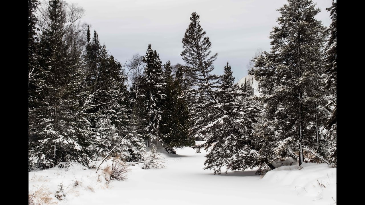 Walk along a small trail after a snowstorm in the city of Thunder Bay, canada 🇨🇦 
