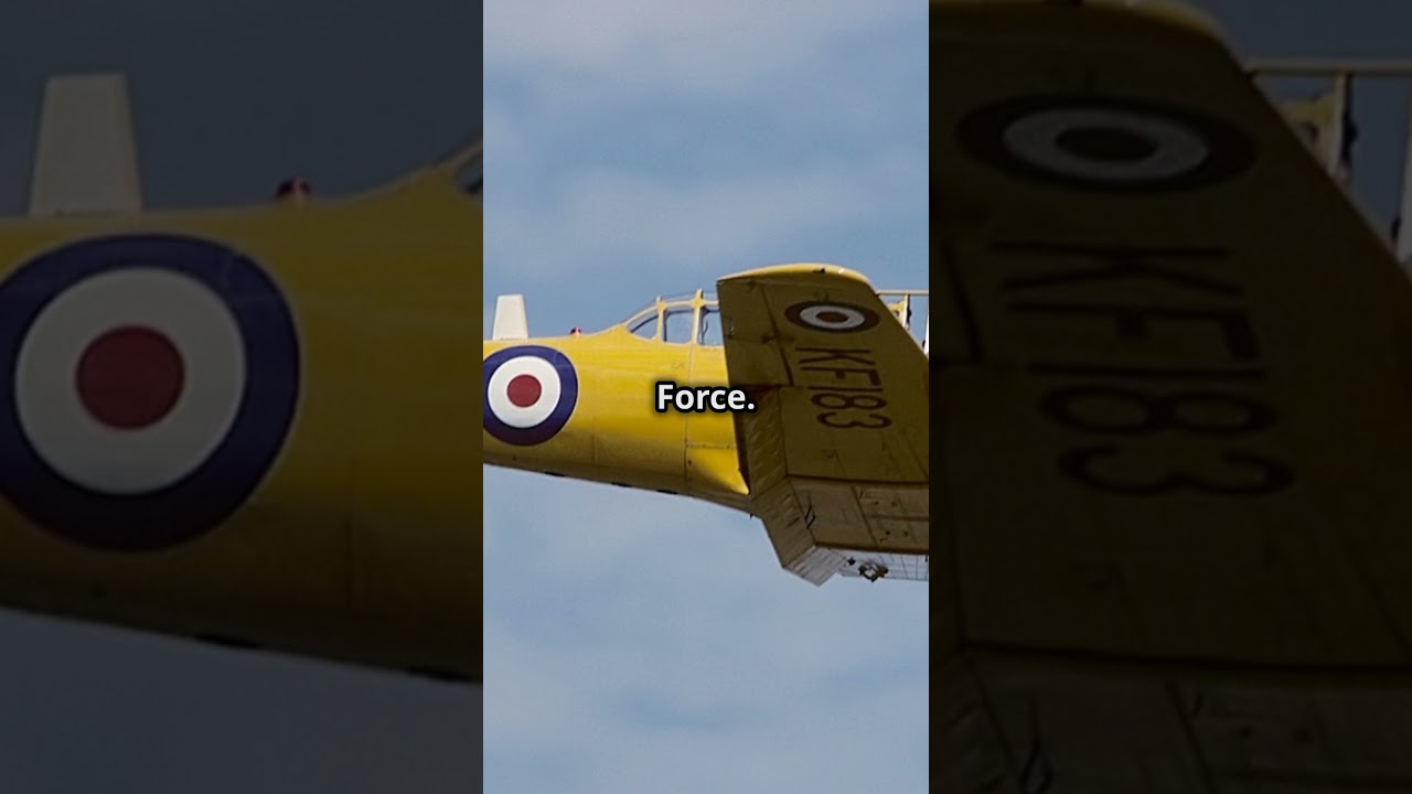 The Legendary T-6 Texan: A WWII Icon #history #aviation #texas #subscribe