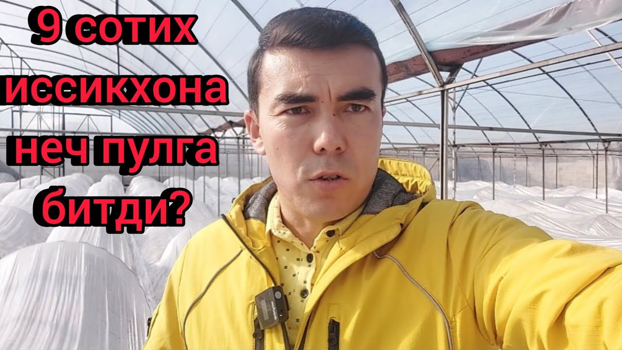 9 сотихли иссикхона неч пулга битди?