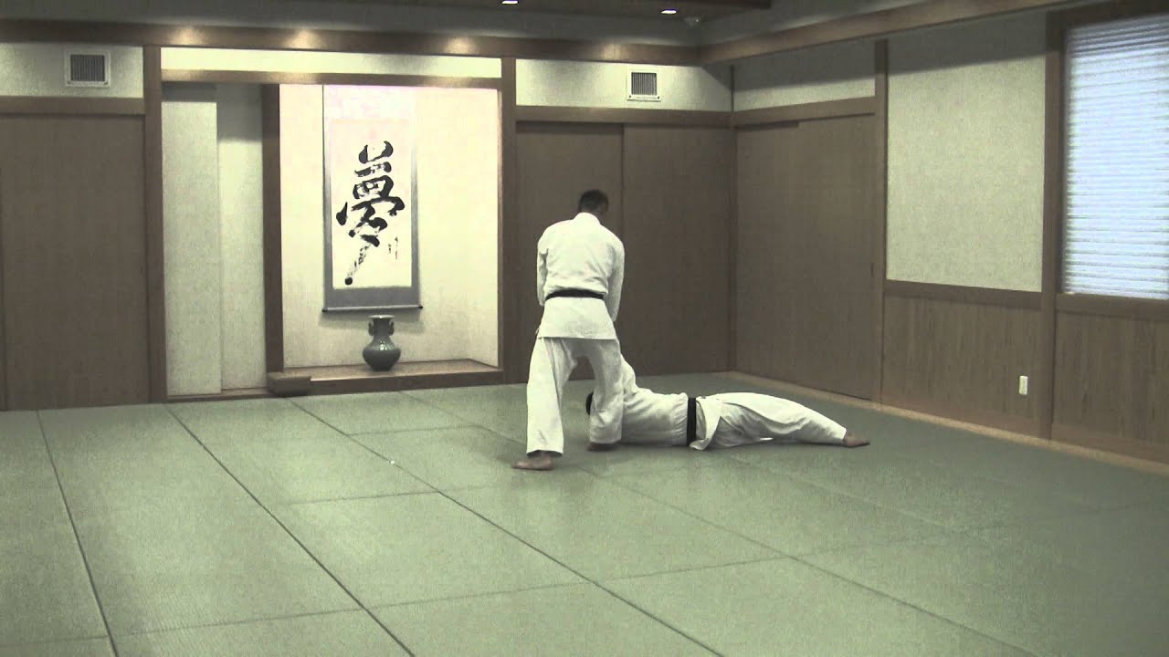 合気道 乱取基本の形17本③_手首技/ Tomiki Aikido Randori 17 Hon③_Tekubi