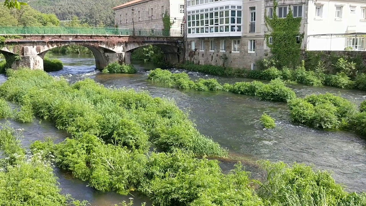Camino Portuguese:  Caldas de Reis