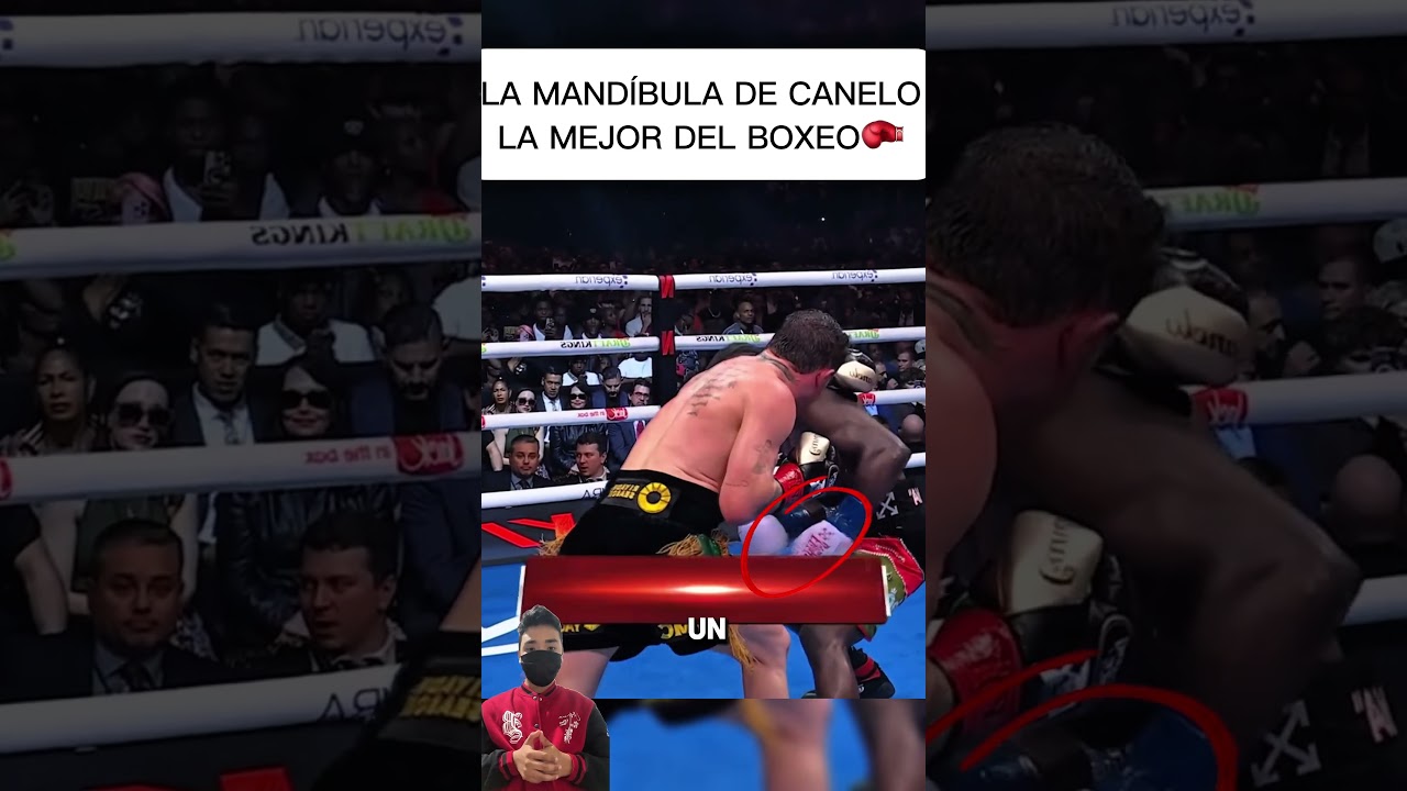 Este fue el mejor golpe de la pelea #boxing #crawfordvscanelo #canelovscrawford #boxing