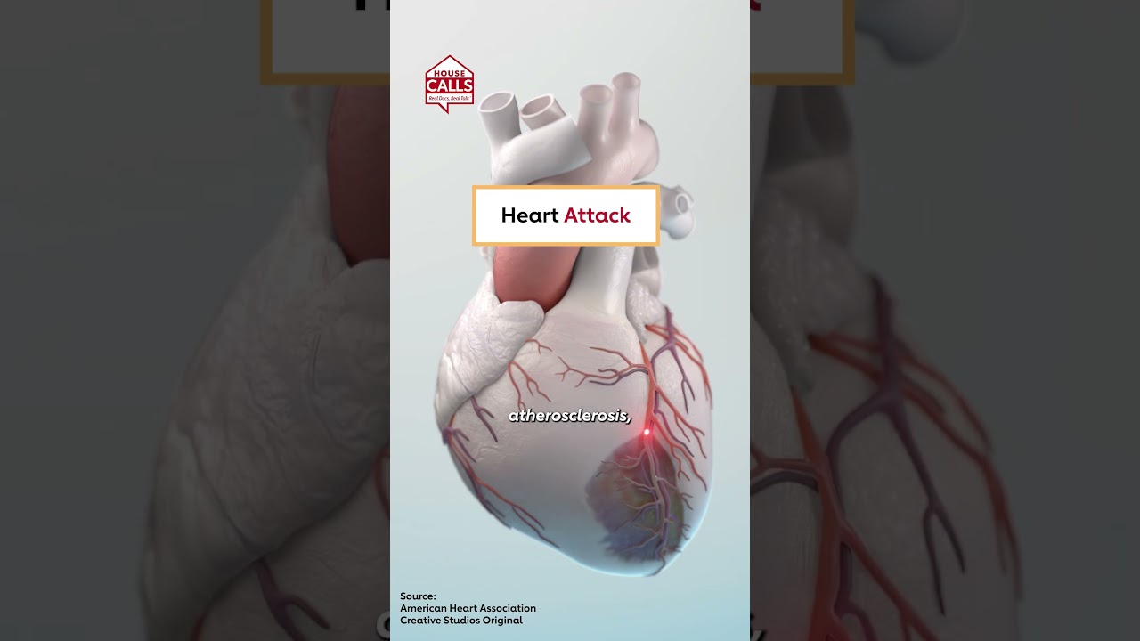The difference between heart attack and cardiac arrest