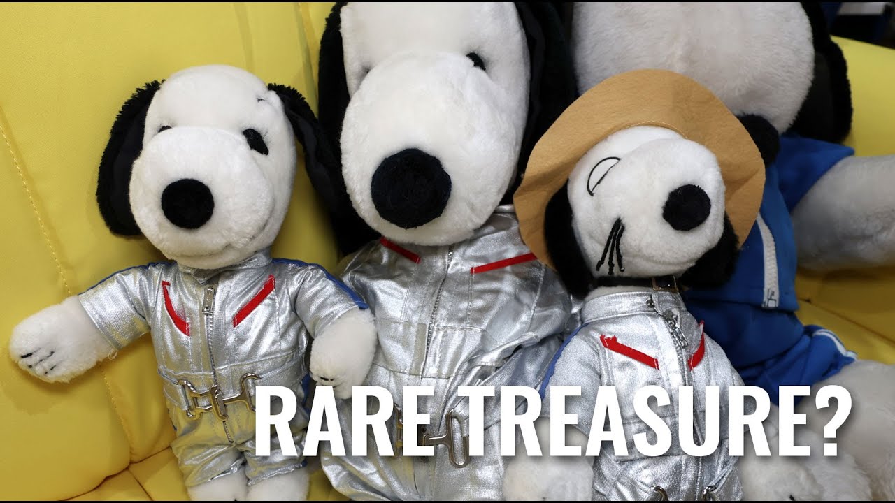 Редкое сокровище? Костюм гонщика для Снупи - Находки Снупи | CollectPeanuts.com