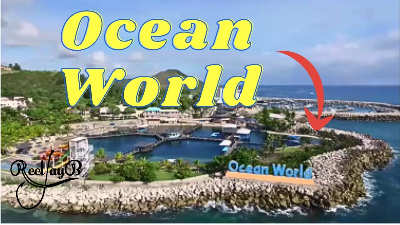Ocean World Excursion- Dolphin Encounter, Tropical Birds, Snorkeling & MORE - Royal Caribbean Cruise