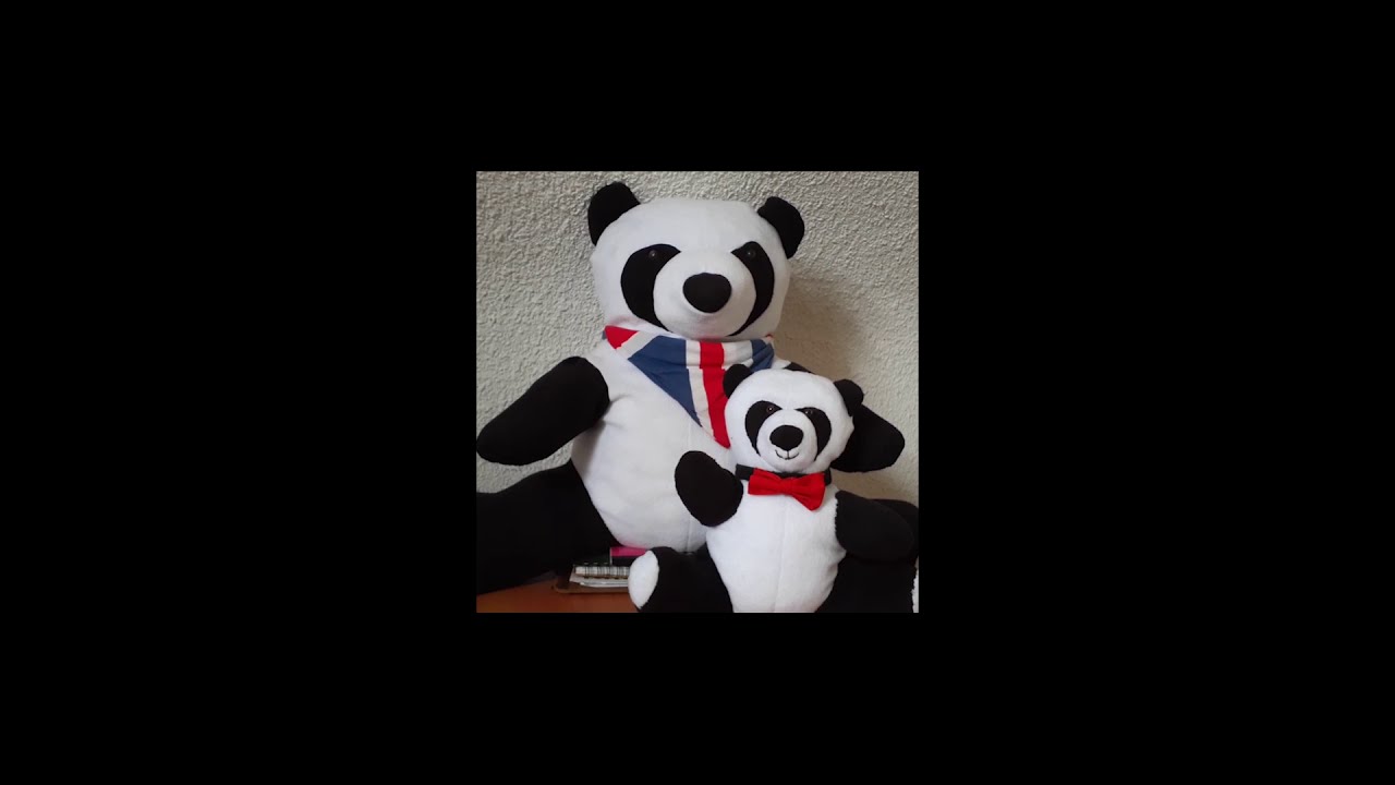 Como elaborar un Peluche de Oso Panda