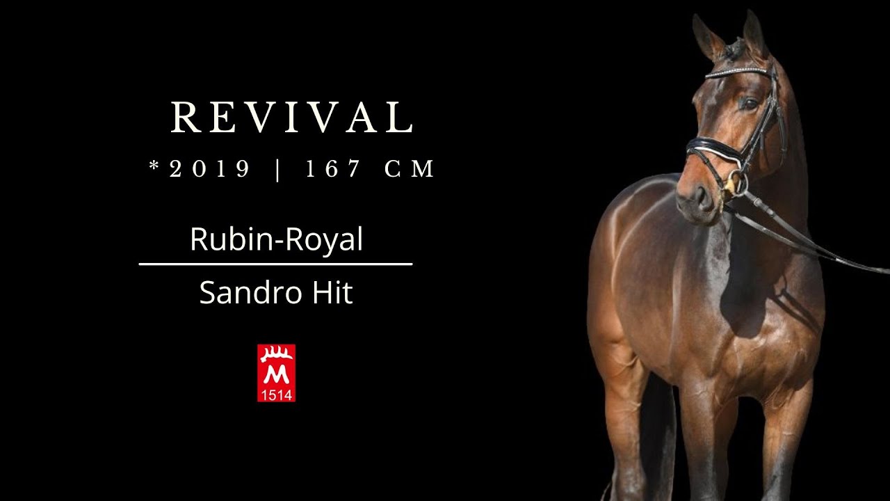 Revival *2019 v. Rubin-Royal - Sandro Hit