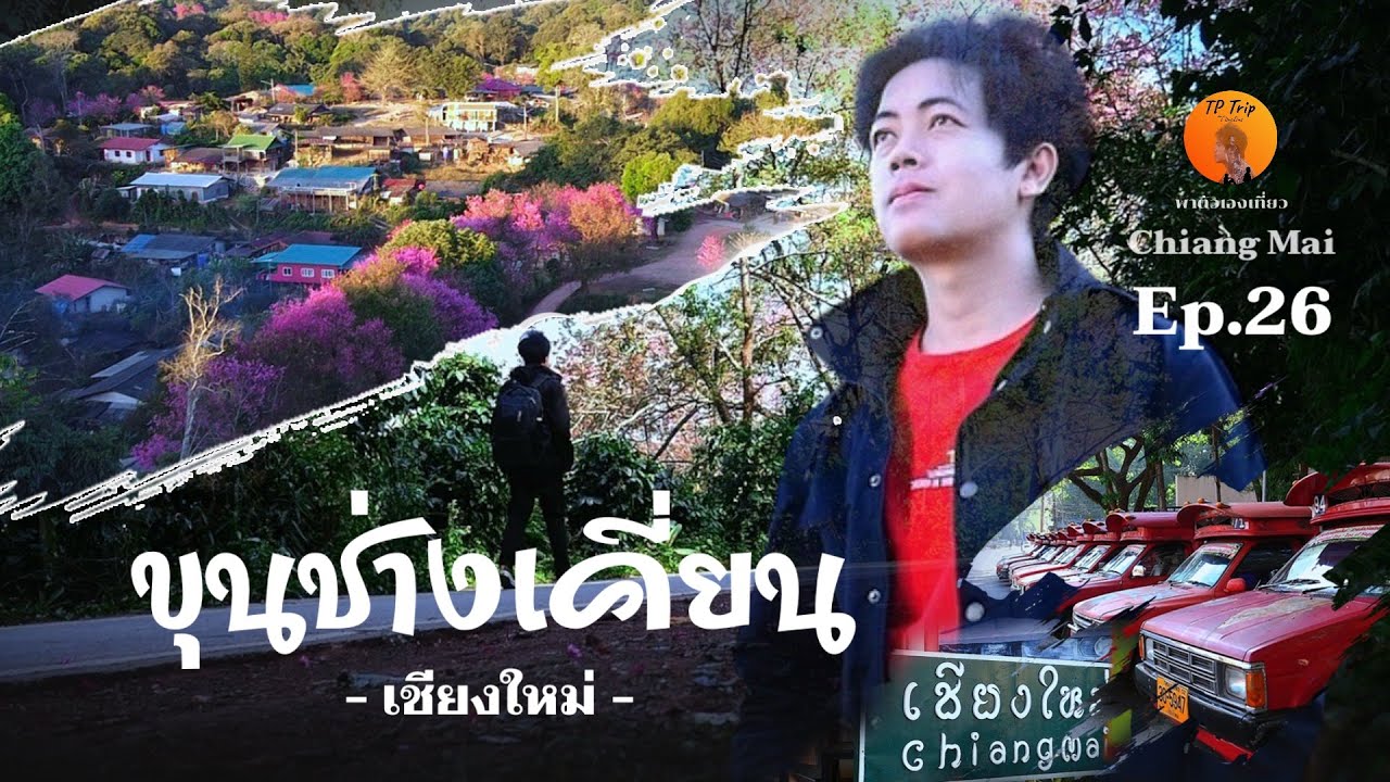 Ep.26 ไปเยือนหมู่บ้านบนดอยสุเทพในวันที่ดอกนางพญาเสือโคร่งเบ่งบาน #ขุนช่างเคี่ยน #เที่ยวเชียงใหม่