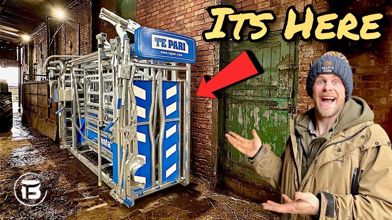 Te Pari Cattle Crush Delivery | First Impressions on a Working Beef Farm