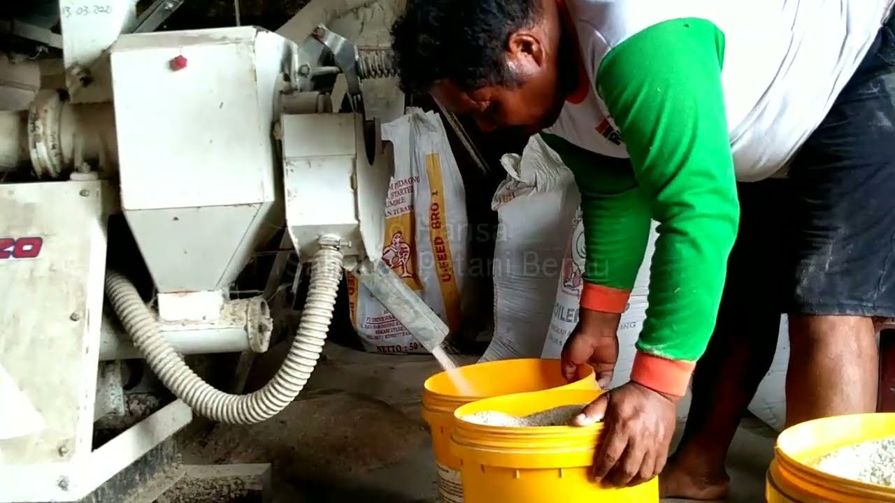 Rice Milling Unite and Rice Polisher YCP 220 Penggilingan Padi Modern ( YANMAR )