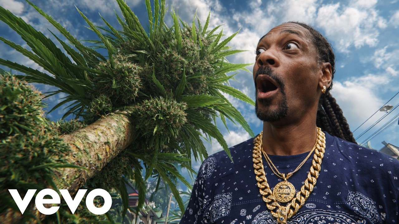 Snoop Dogg - Snoop and the Chronicstalk (2026)