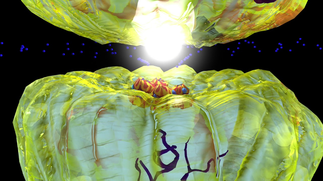 Etomidate for General Anesthesia during surgery
