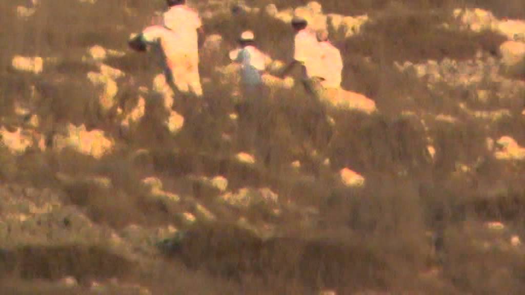 Soldiers escorting Yitzhar settlers on violent rampage, 2015
