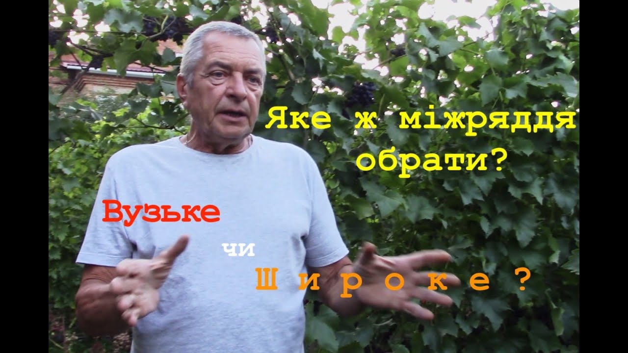 Вузьке чи широке міжряддя винограду — ваш вибір?Narrow or Wide Vineyard Row Spacing — Your Choice?