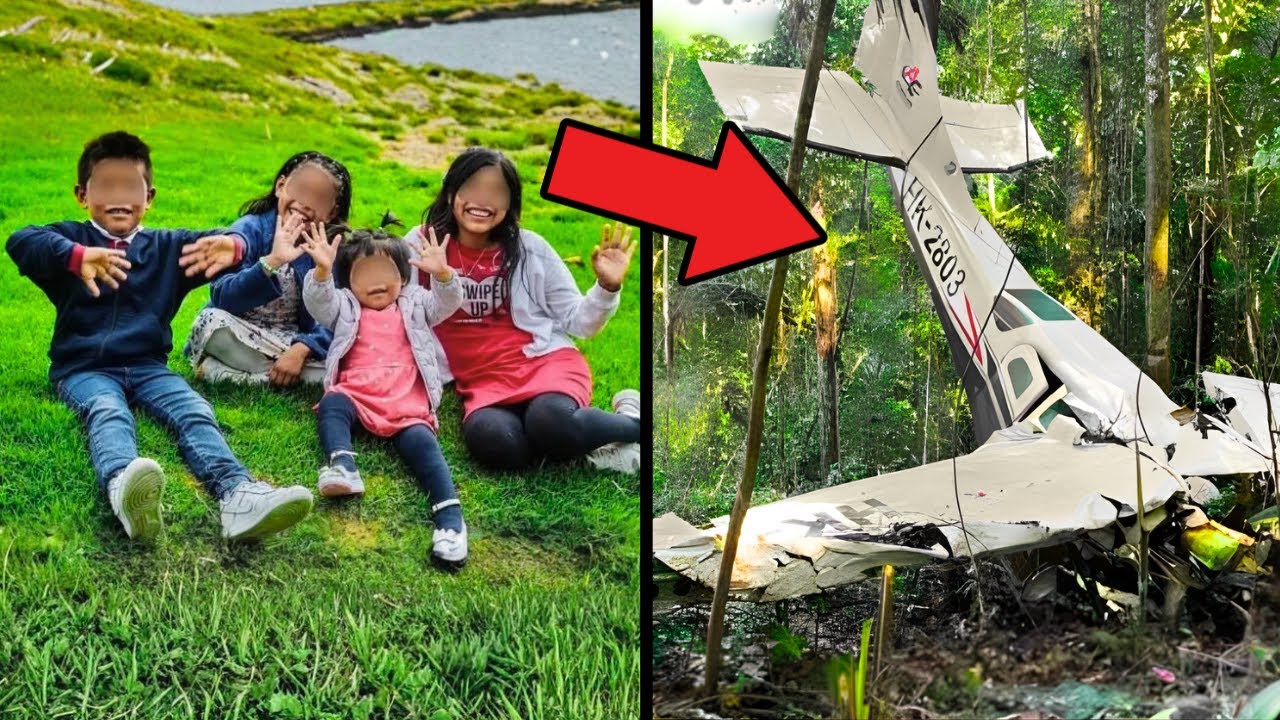 La Falla Que El Piloto Creyó Arreglar Terminó En Tragedia En El Amazonas