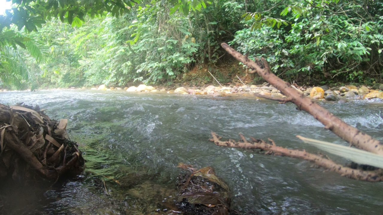 RIVER FLOWING - Hulu Yam river
