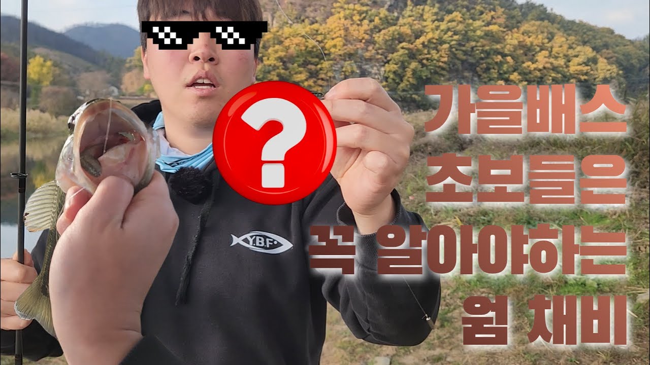 가을배스 초보들은 꼭 알아야하는 웜 채비